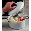 Microwave Pressure Cooker