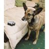 Ultrasonic Pet Trainer