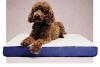 Heated Dog Bed for the pampered pooch